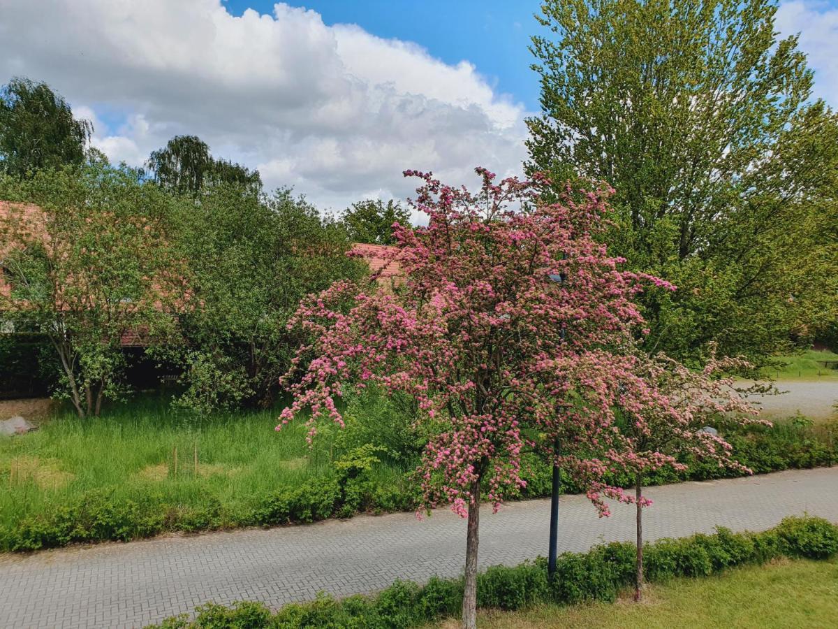Ferienhaus Hase Villa Burg  Buitenkant foto
