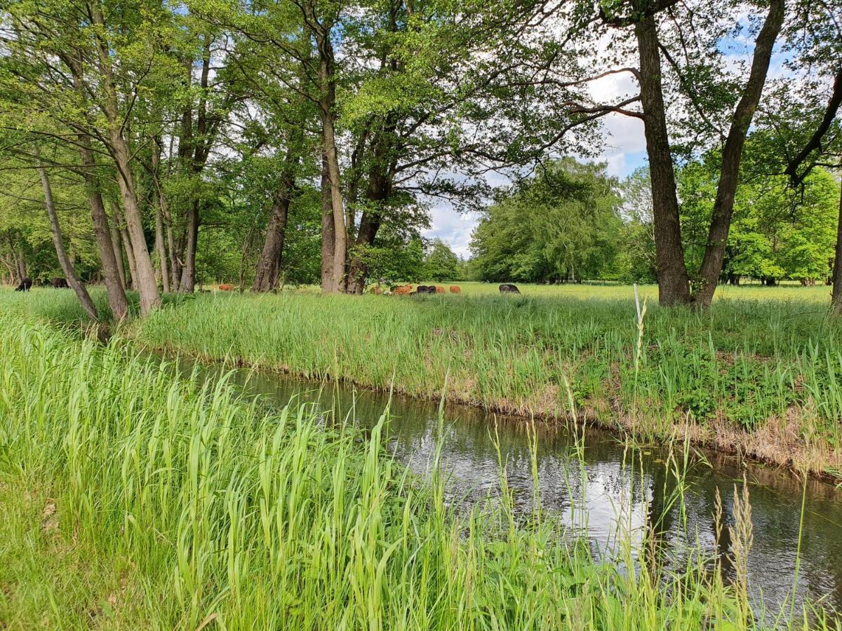 Ferienhaus Hase Villa Burg  Buitenkant foto